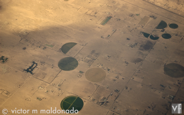 crop circles some that are green others that are brown to tan