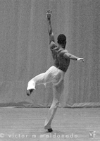 ballerino