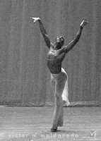 ballerino