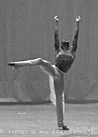 ballerino