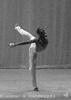 ballerino